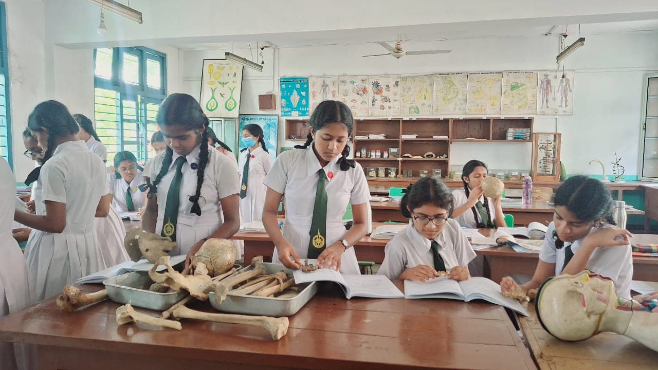 මොරටුව විශ්වවිද්යාලය